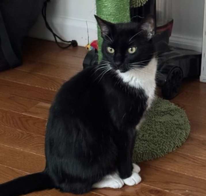 Photo of Ruby