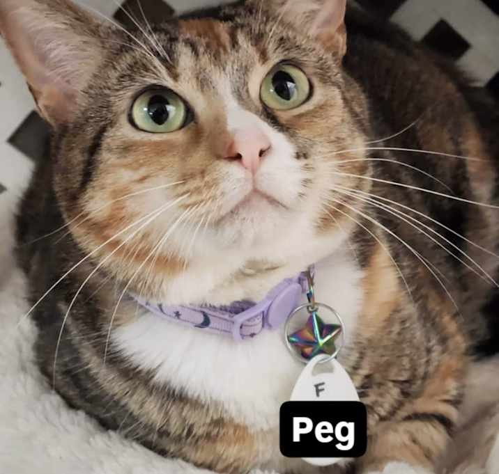 Photo of Peg