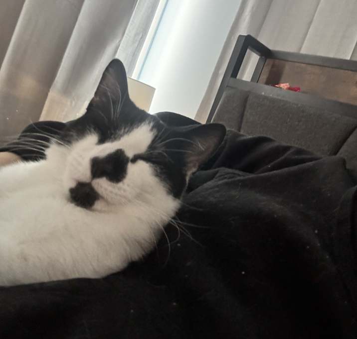 Photo of Hank