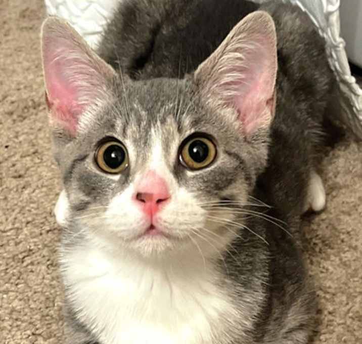 Photo of Rocky