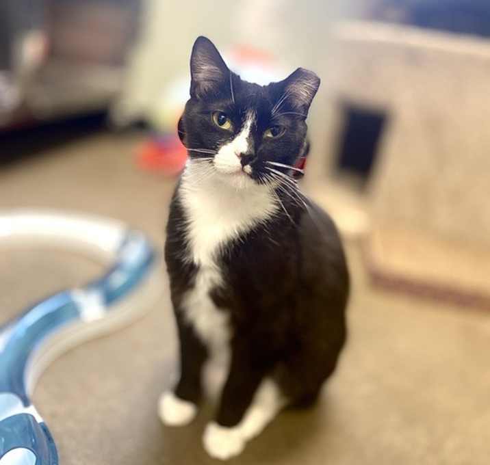 Photo of Sir Not Vincent