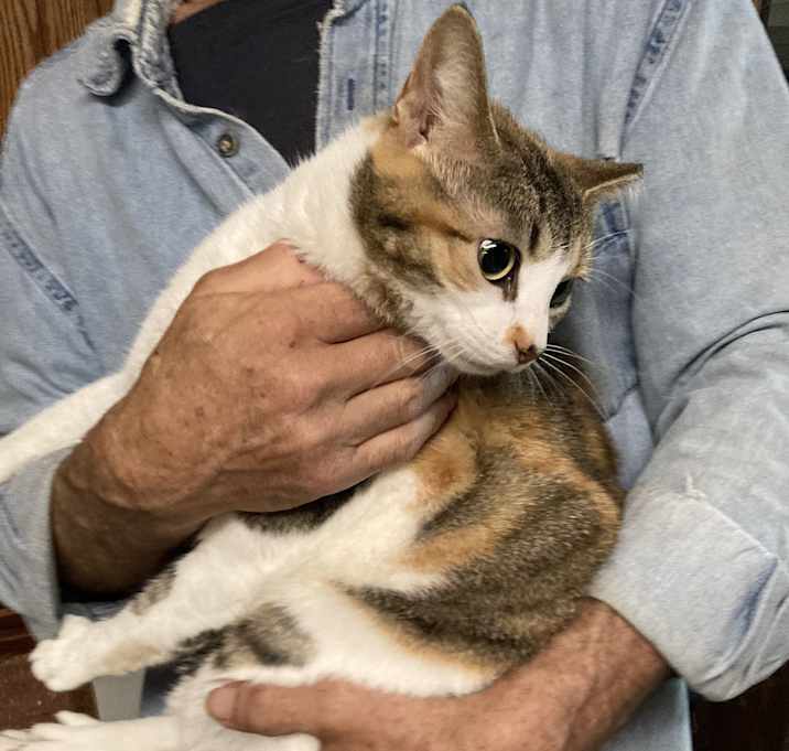 Photo of Marla