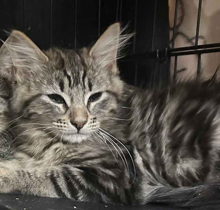 Photo of Theadora (Teddy)