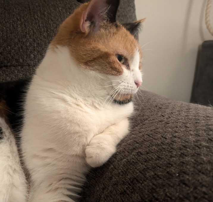 Photo of Kiara