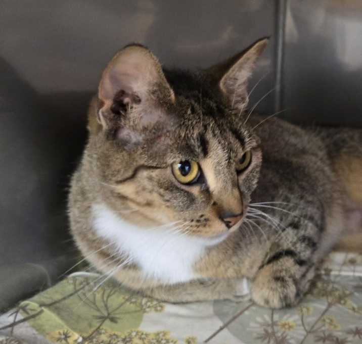 Photo of Tabitha