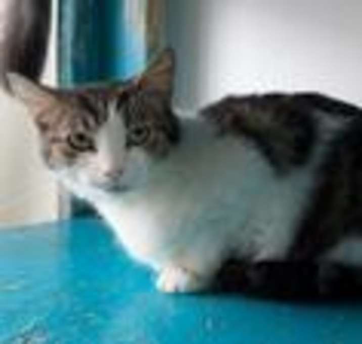 Photo of Padme