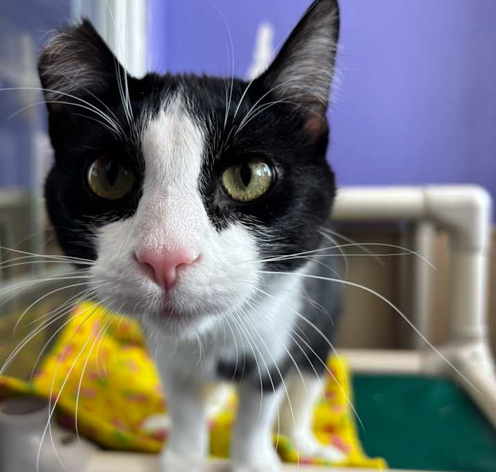 Photo of Tabitha