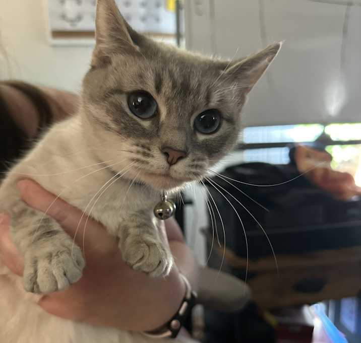 Photo of Lumie