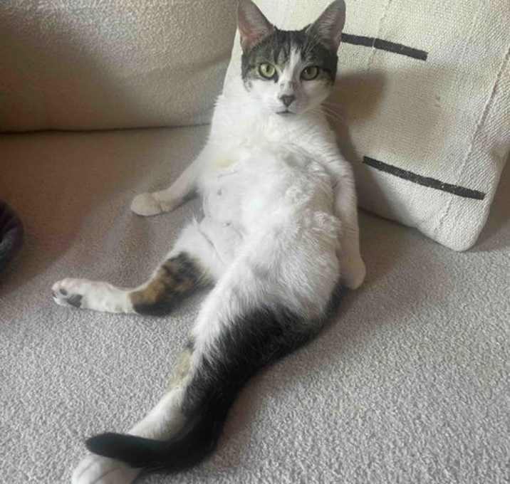 Photo of Suki