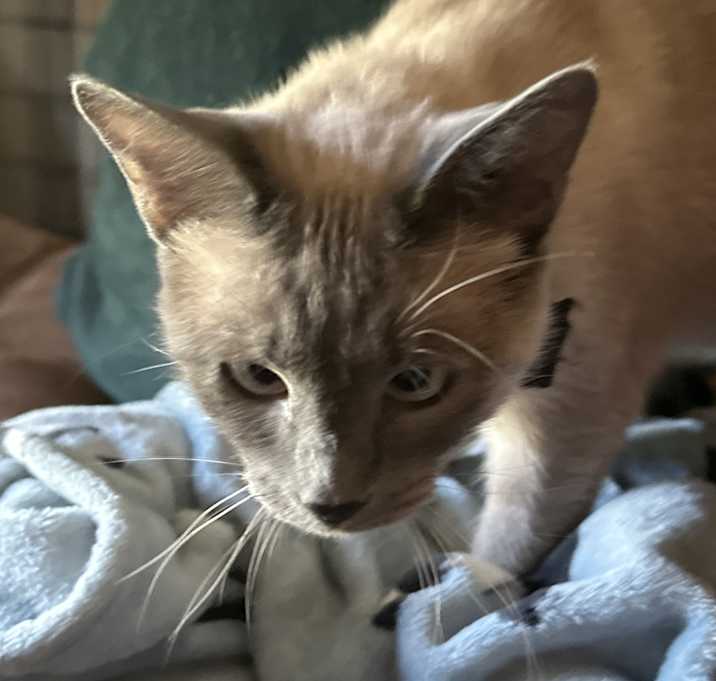 Photo of Moonie