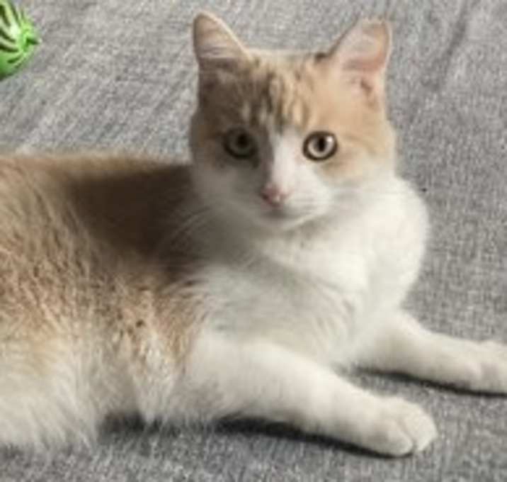 Photo of Junior