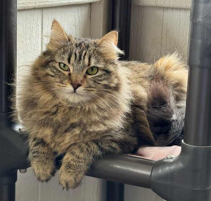 Photo of Patsy