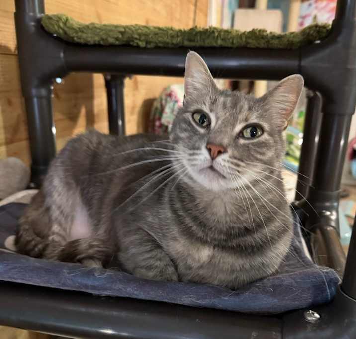 Photo of KiKi