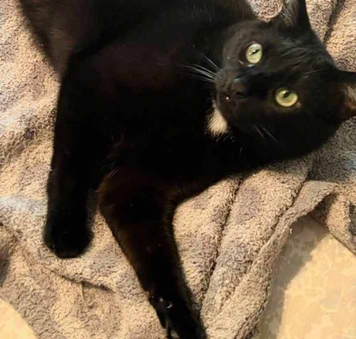 Photo of Fefe