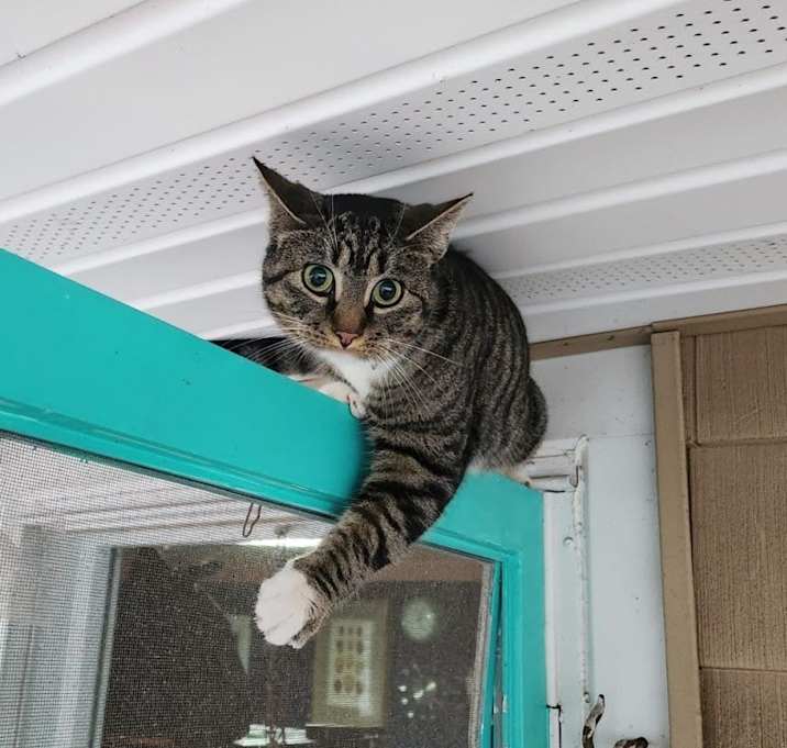 Photo of CleoPepper