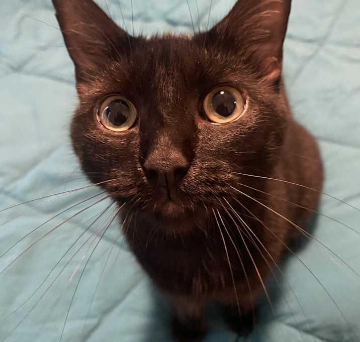 Photo of Fiona