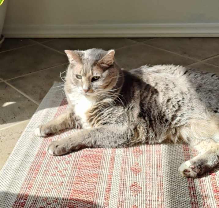 Photo of Vincent