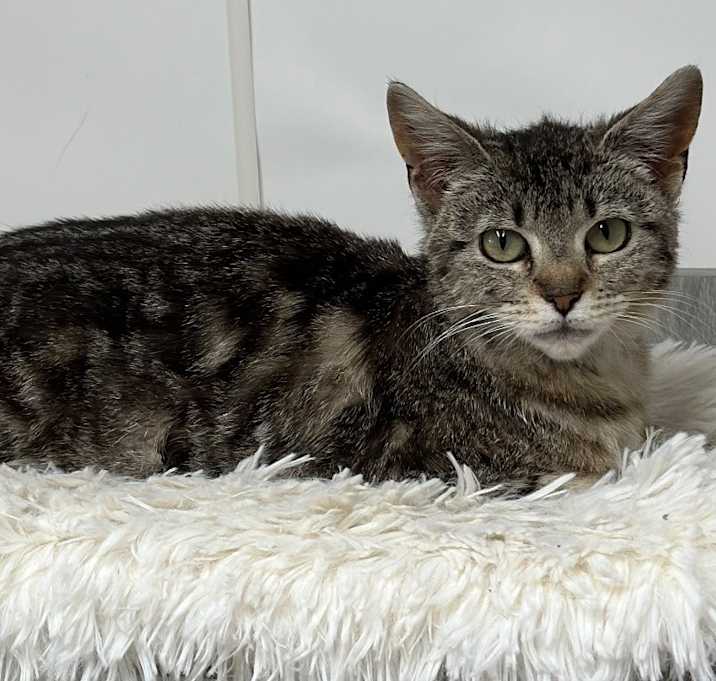 Photo of Dorie