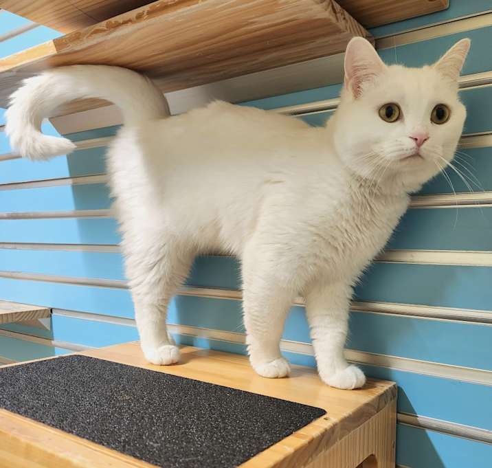 Photo of Starby