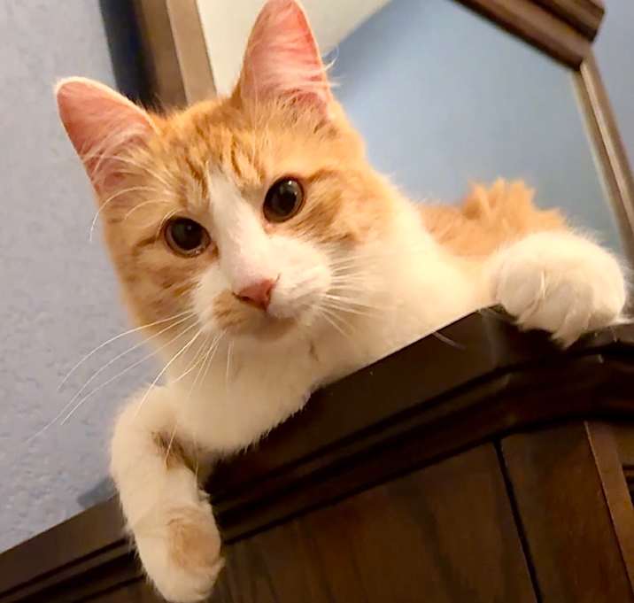 Photo of Timber