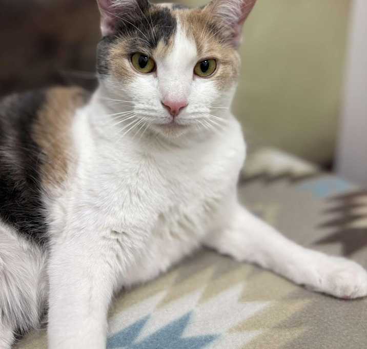 Photo of Chatty Mae