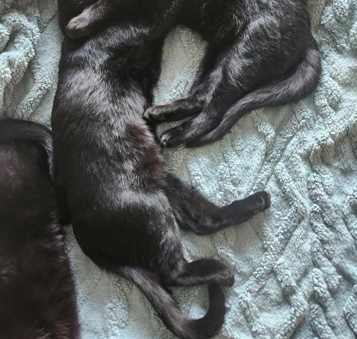 Photo of Buffy and Dawn