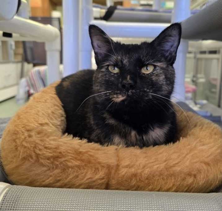 Photo of Elsie