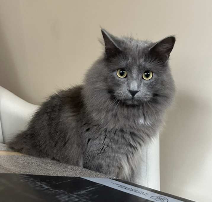 Photo of Theo
