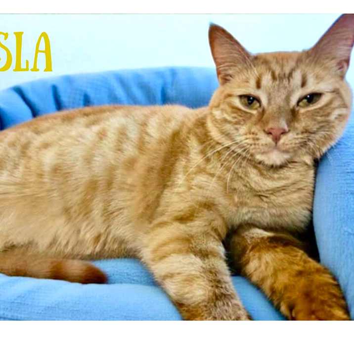 Photo of Isla
