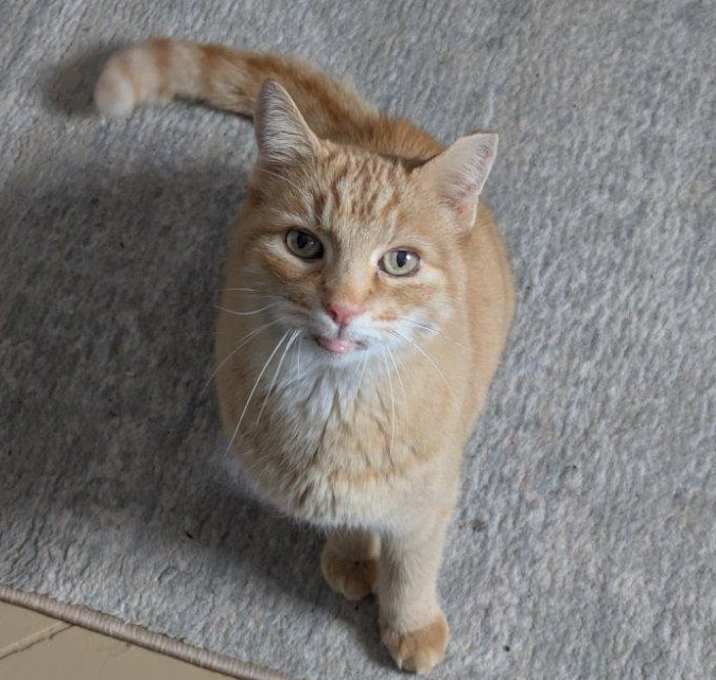 Photo of St. Nick
