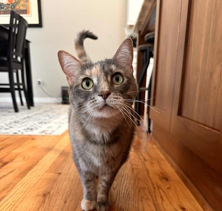 Photo of Daisy