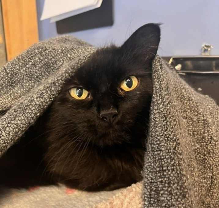 Photo of Matilda