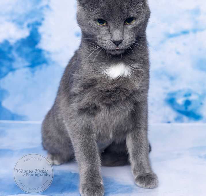 Photo of Princess
