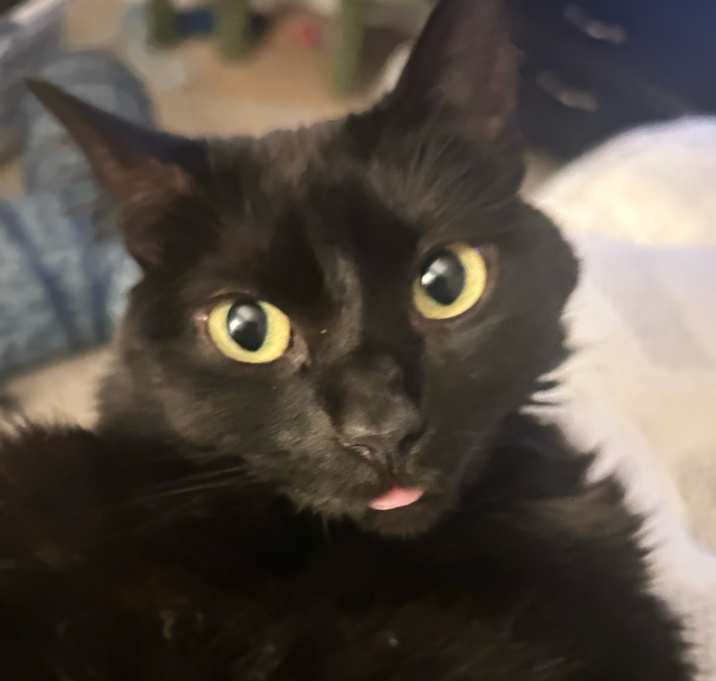 Photo of Mavis