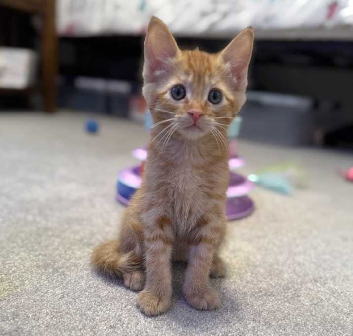 Photo of TJ