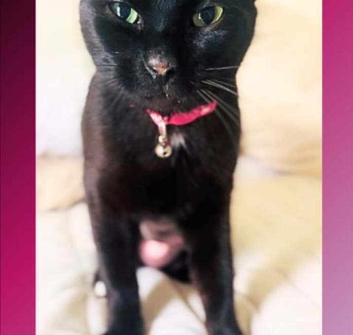 Photo of LUNA