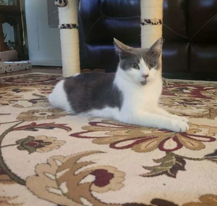 Photo of Stormy