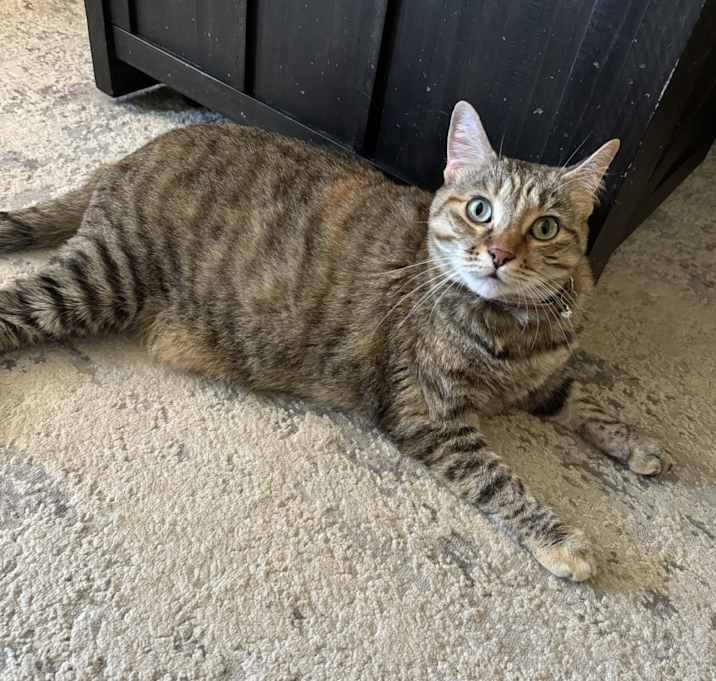 Photo of Willow