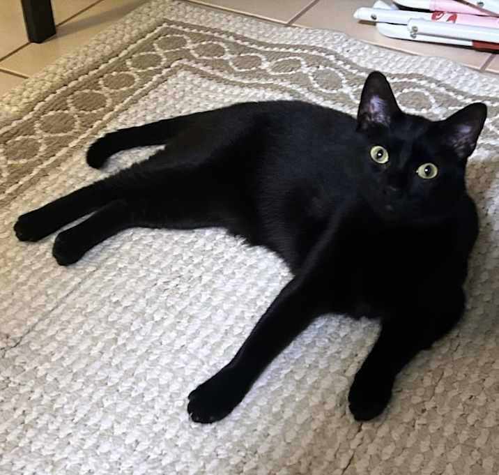 Photo of Kiki