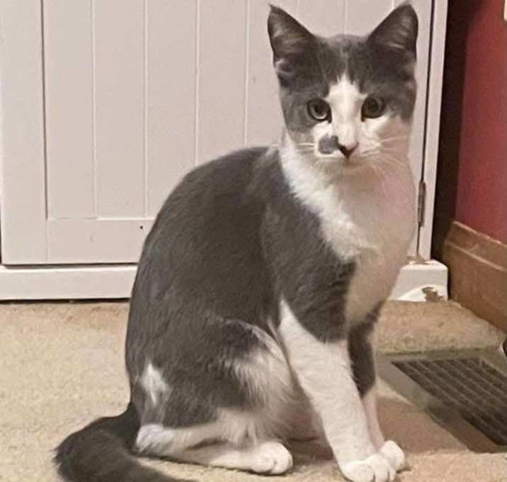 Photo of Spook
