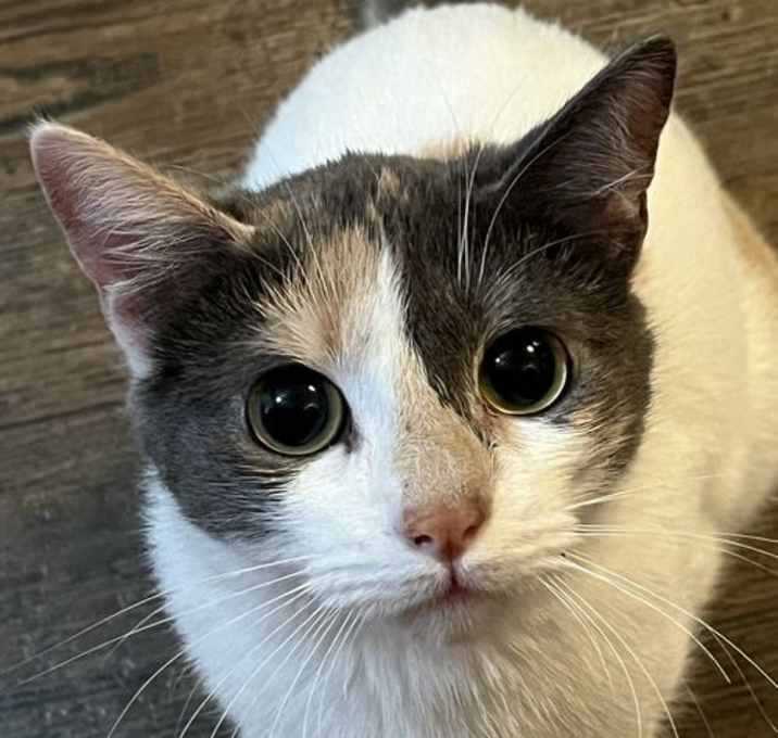 Photo of Lucy