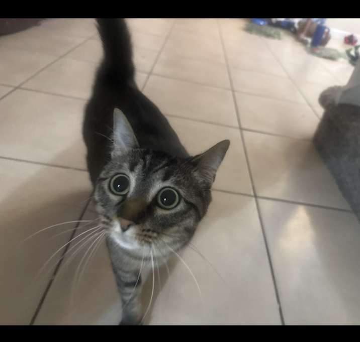 Photo of Lola