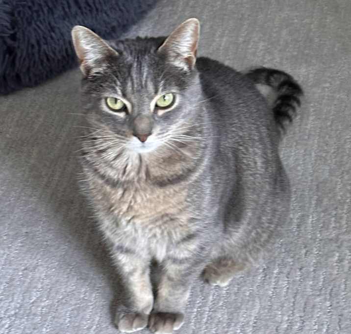 Photo of Taco