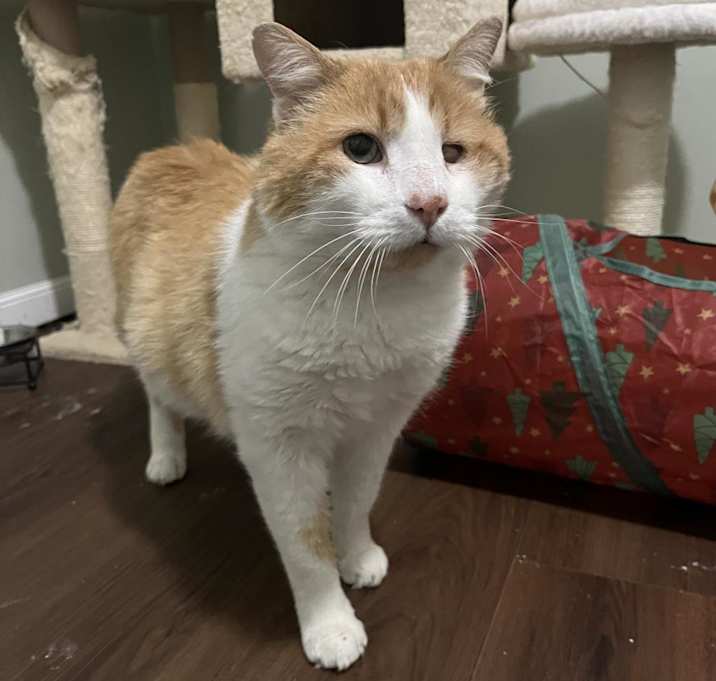 Photo of Sammy