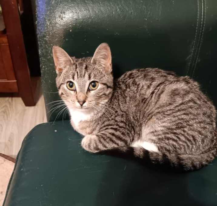 Photo of Zephyr