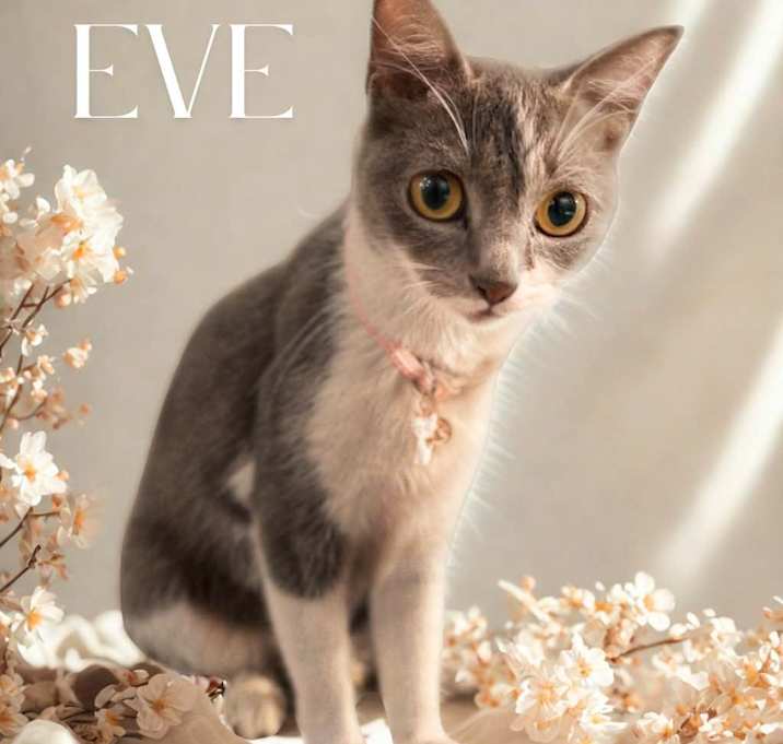 Photo of Eve