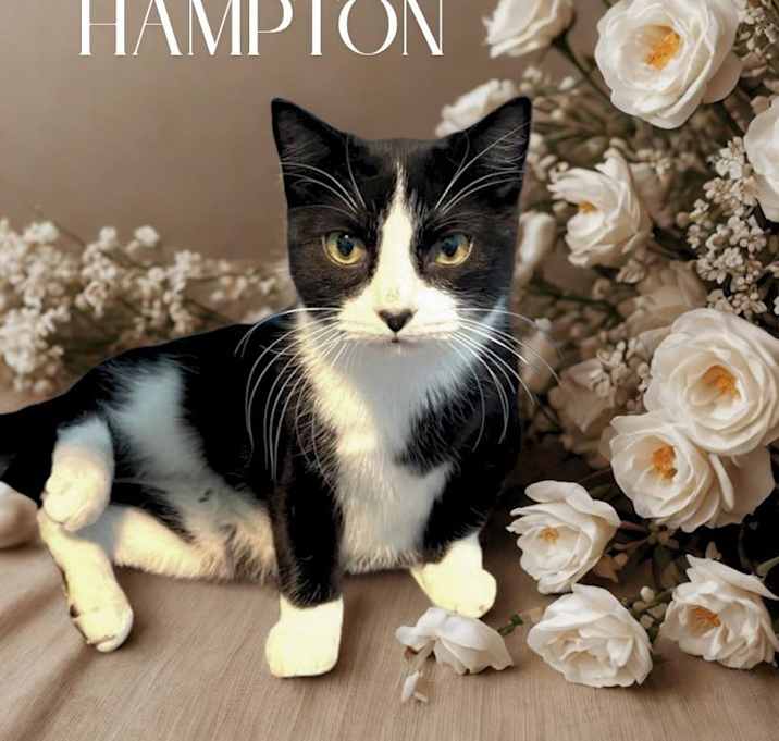 Photo of Hampton