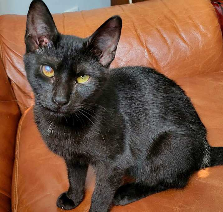 Photo of Squish
