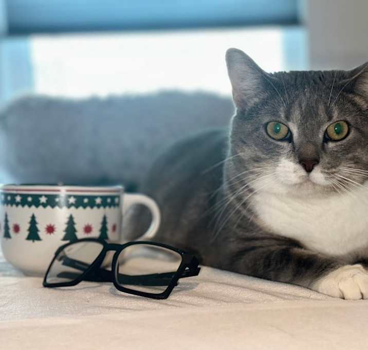 Photo of SUMMER THE GORGEOUS PAWCHELORETTE