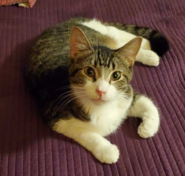 Photo of Sam
